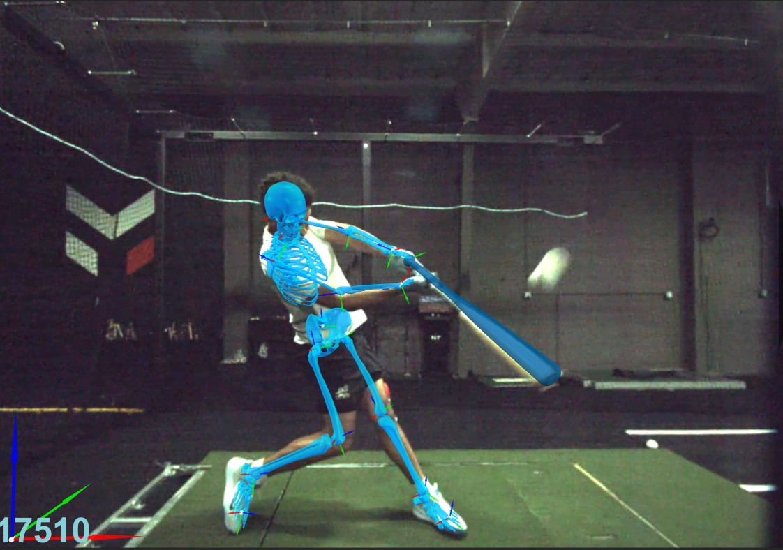 Markerless Motion Capture.